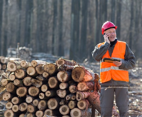 Mappatura GIS E Gestione Delle Foreste