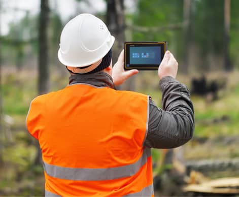 Mappatura GIS E Gestione Delle Foreste